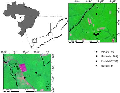 Fire Effects on Understory Forest Regeneration in Southern Amazonia
